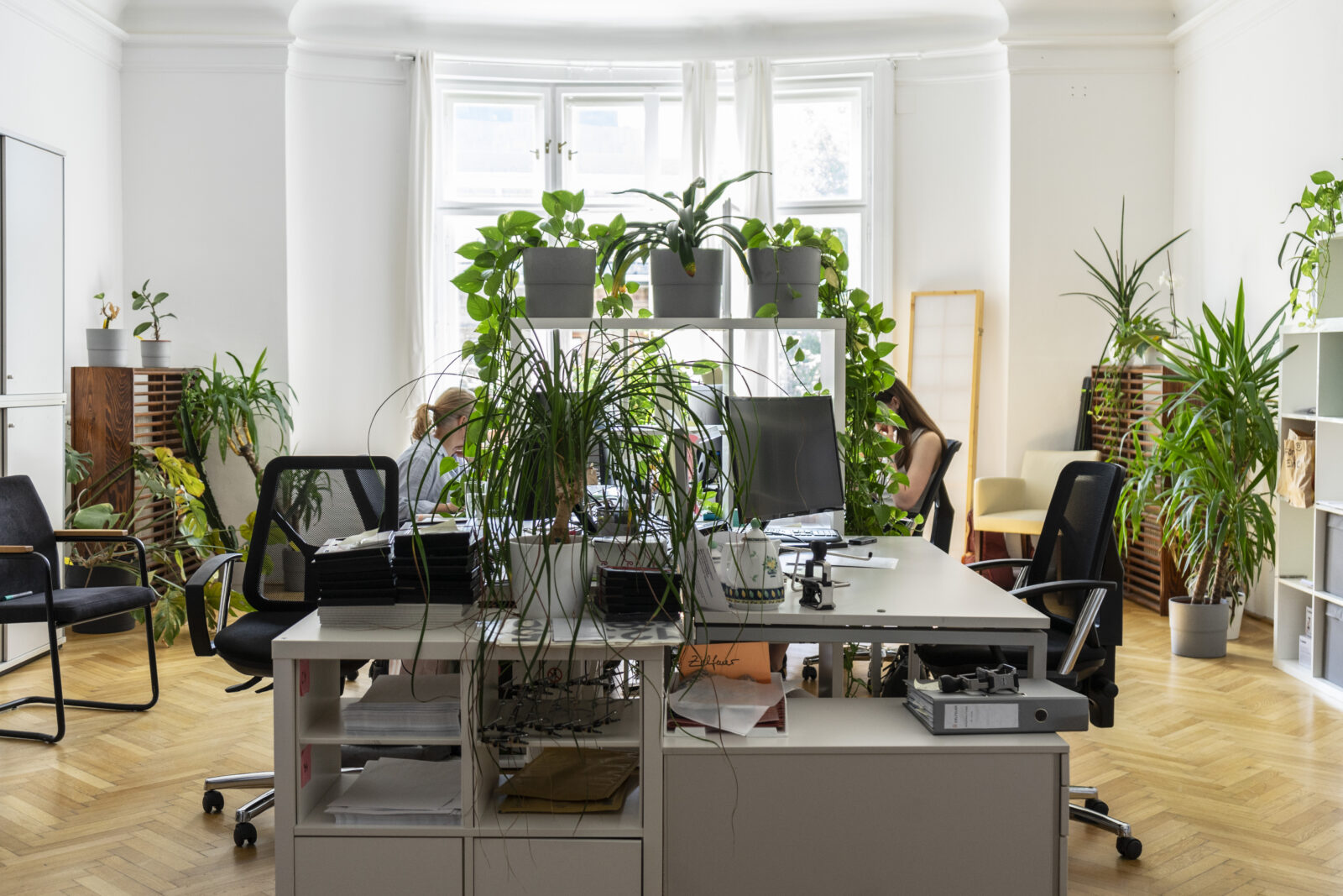 Edelweiss Consulting 1010 Wien Büro